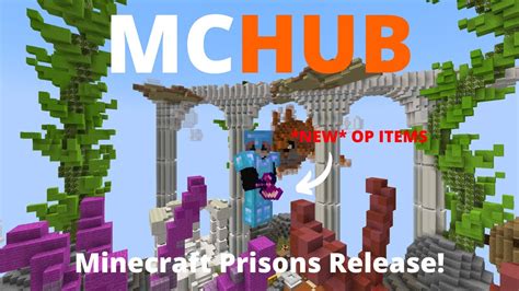 mchub prisons ip.